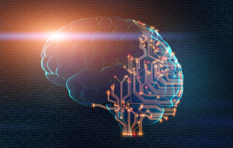 360_F_269915063_aAcNjuCUuEbegYd7qKu7rVCgZXdQaZa0